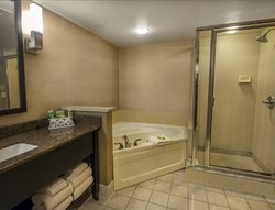  - Holiday Inn Express Buffalo Airport Cheektowaga