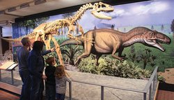  - Holiday Inn Express & Suites Vernal