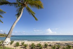  - Club Wyndham Limetree Beach Resort St Thomas