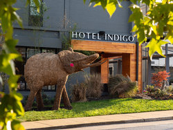  - Hotel Indigo Downtown Chattanooga