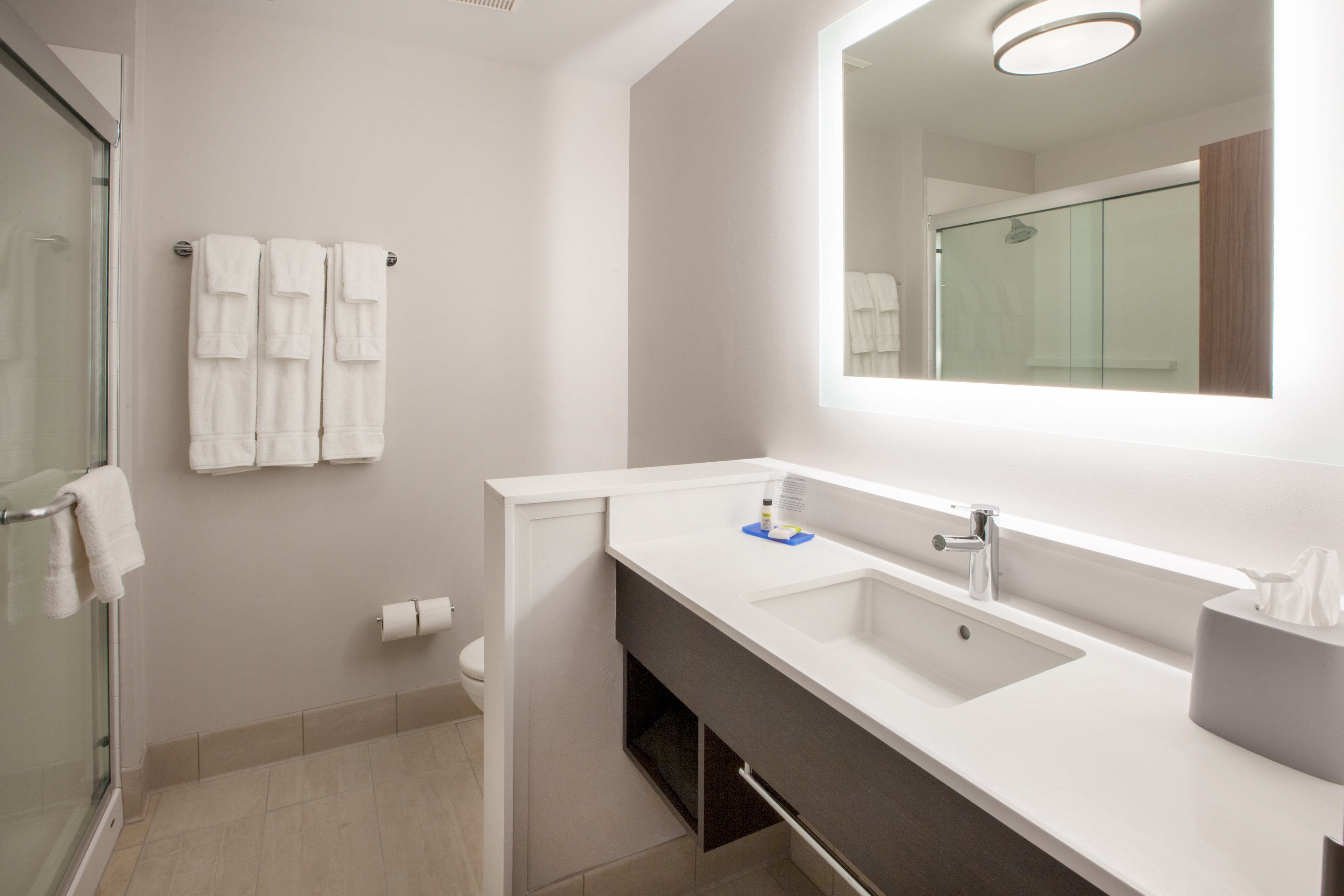 HOLIDAY INN EXP STES CLEMMONS BY IH-guestroom-Guest Bathroom.jpg