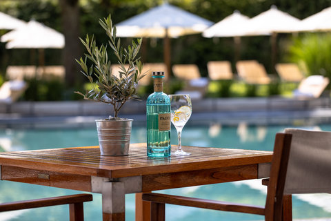 INTERCONTINENTAL GENEVA - Photo 45