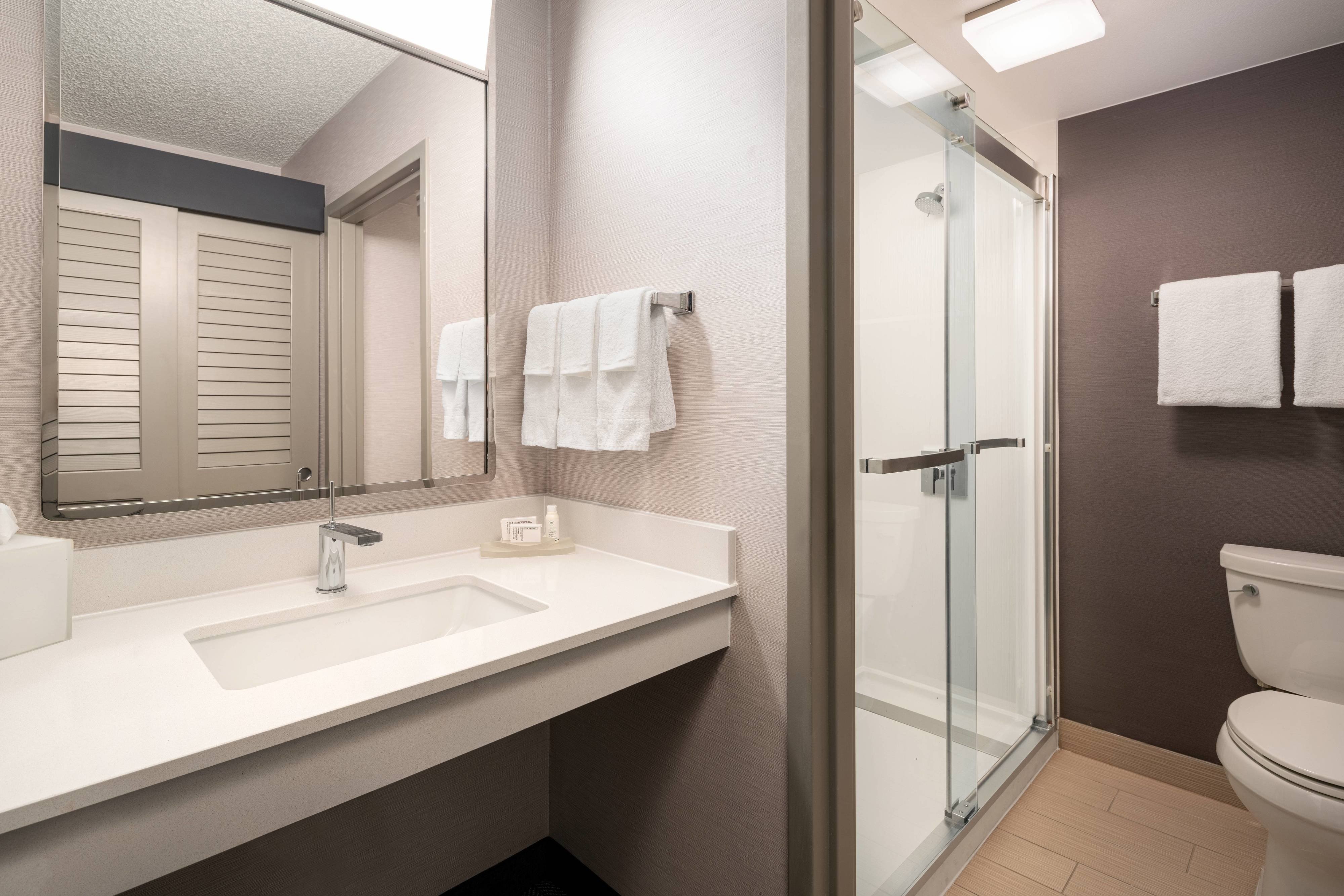One-Bedroom Suite - Bathroom