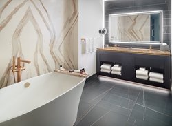  - Omni Viking Lakes Hotel Eagan