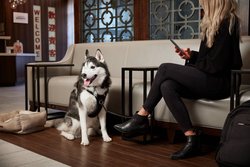  - Fairfield Inn & Suites by Marriott Downtown DC