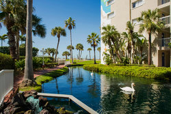  - Tradewinds Island Grand Hotel St Pete Beach