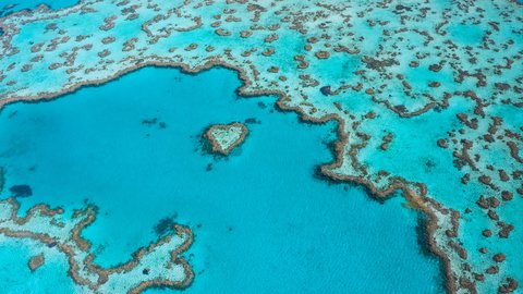 INTERCONTINENTAL HAYMAN ISLAND RESO - Photo 122
