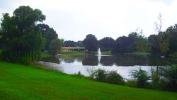  - Hotel Francis St Francisville