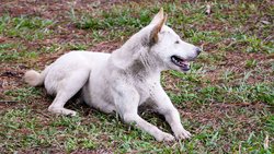  - Hotel Francis St Francisville