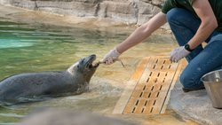  - Hotel Francis St Francisville