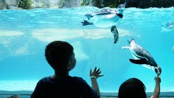  - Northgate Inn Saginaw