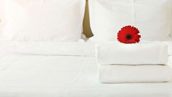  - M-Star Hotel Cleveland