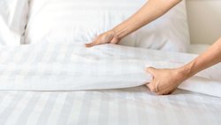  - Magnuson Grand DeSoto - I-35, Exit 416