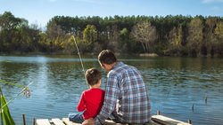  - Drop Tyne Lodge Franklin