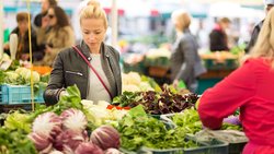  - Drop Tyne Lodge Franklin