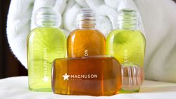  - Magnuson Grand DeSoto - I-35, Exit 416