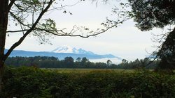  - Windmill Inn Lynden