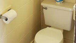  - Windmill Inn Lynden