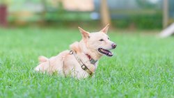  - Resort City Inn Coeur d'Alene