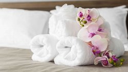  - Voyageur Inn & Conference Center Reedsburg