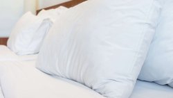  - Ruby Inn Bridgeport