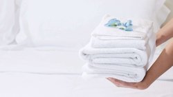  - Magnuson Hotel Fowlerville