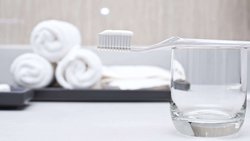  - Magnuson Hotel Fowlerville