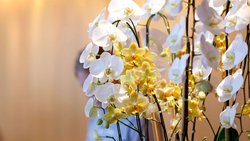  - Magnuson Hotel Fowlerville