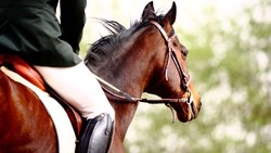  - Magnuson Hotel Fowlerville