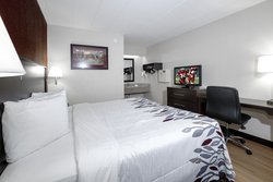  - Red Roof Inn Medina - I-71, Exit 218