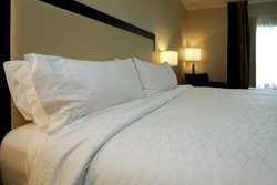  - Holiday Inn Express & Suites Batavia - I-90, Exit 48