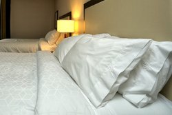  - Holiday Inn Express & Suites Batavia - I-90, Exit 48