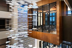  - JW Marriott Hotel Tampa