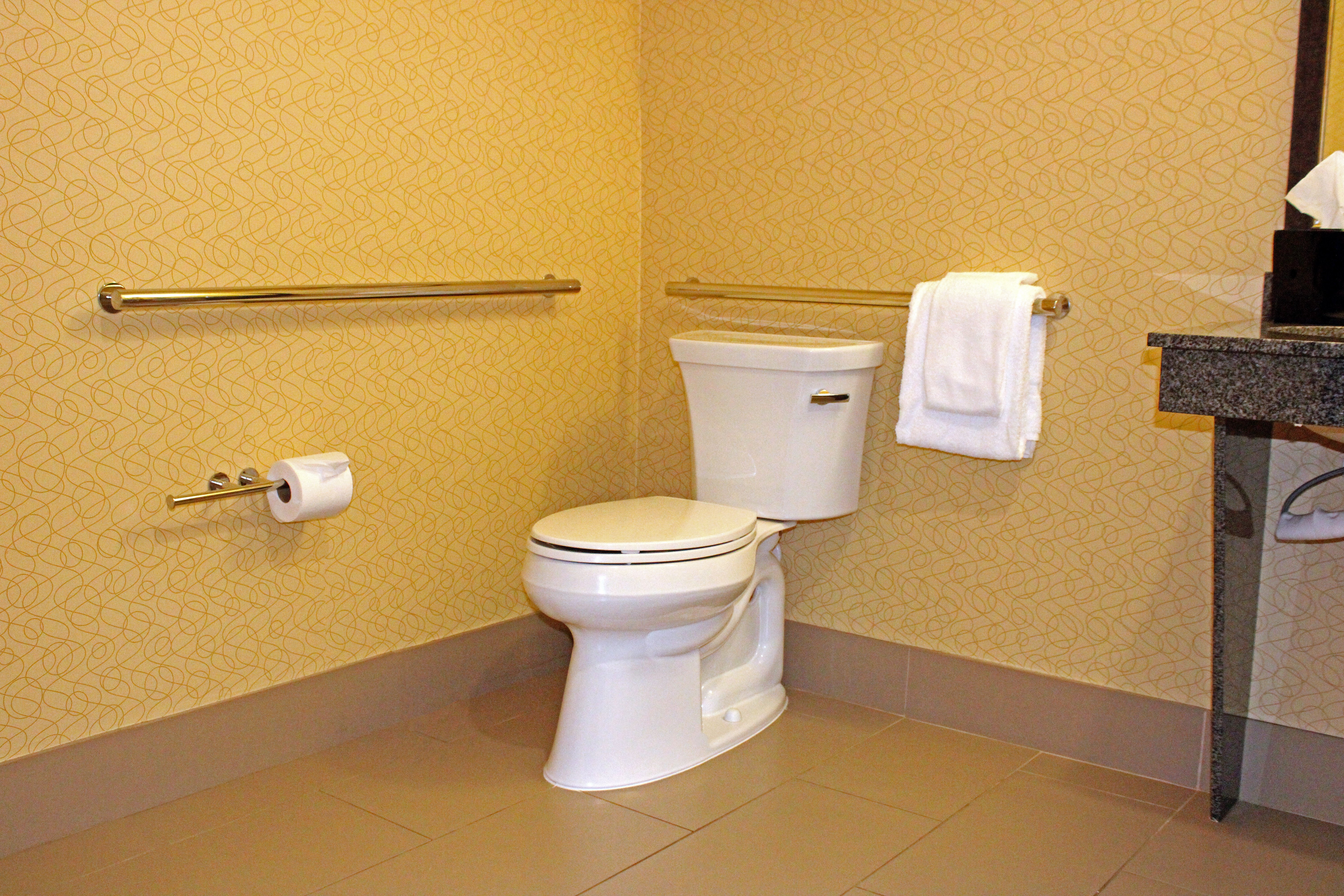 Wheelchair Accessible with grab bars near toilet