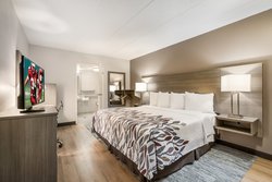  - Red Roof Inn West Lansing - I-69 & I-96, Exit 93