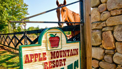  - Holiday Inn Club Vacations Apple Mountain Resort Clarkesville