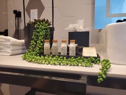  - Hotel Indigo Brickell Miami - I-95, Exit 1B