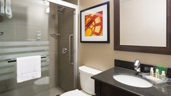  - Holiday Inn Lower East Side New York