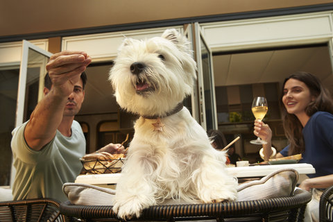 CAPELLA BANGKOK - Photo 49