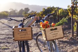  - Napa Valley Lodge Yountville