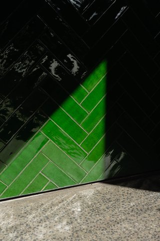 EBB-DUNEDIN - Photo 32