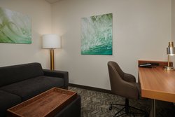  - SpringHill Suites by Marriott Airport Baton Rouge
