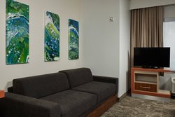  - SpringHill Suites by Marriott Airport Baton Rouge