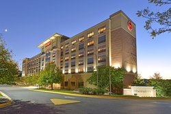  - Sheraton Hotel BWI Airport Linthicum