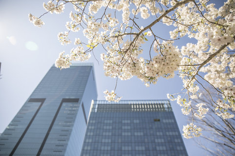 THE OKURA TOKYO - Photo 91