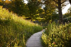  - Scribners Catskill Lodge Hunter