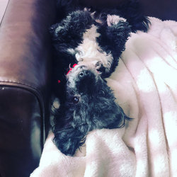  - Marqueen Hotel Seattle