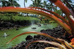  - Shell VC Holua Resort at the Mauna Loa Village Kailua-Kona