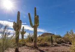  - Orange Tree Golf Resort Scottsdale