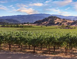  - Vino Bello Resort Napa